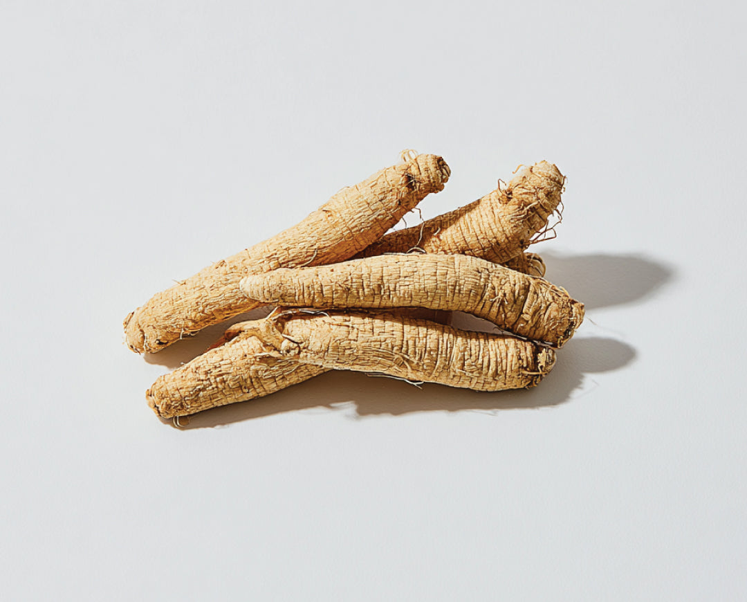 American Ginseng