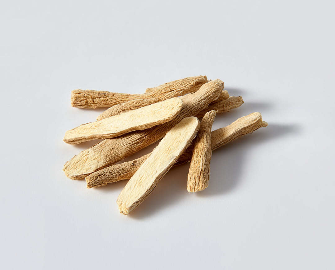 Astragalus Root