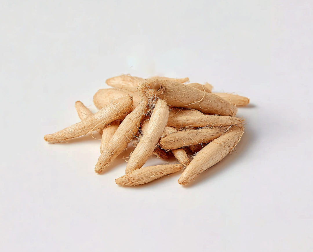 Dwarf Lilyturf Tuber