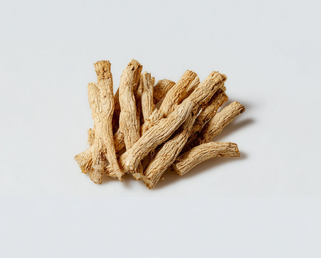 Pilose Asiabell Root