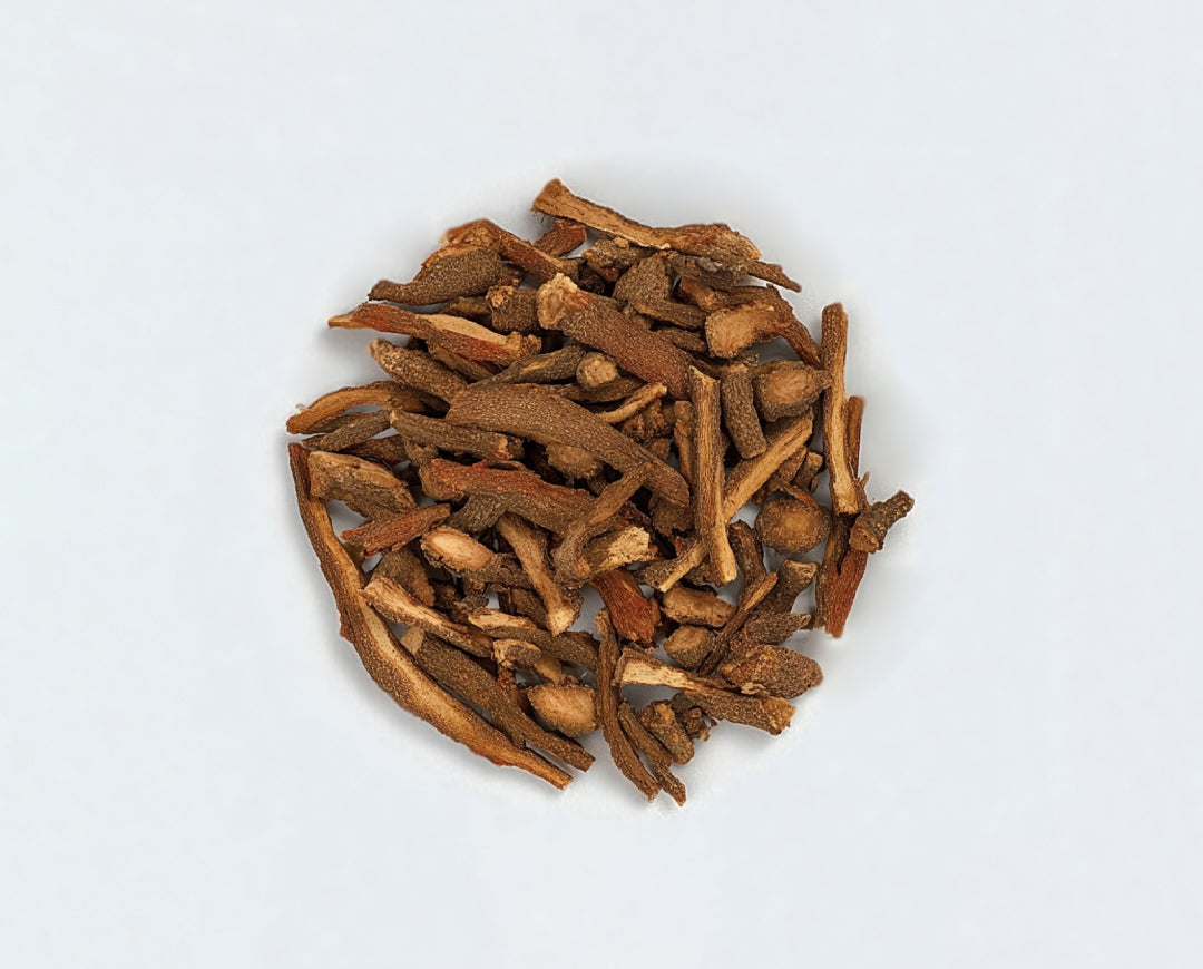 Red Sage Root
