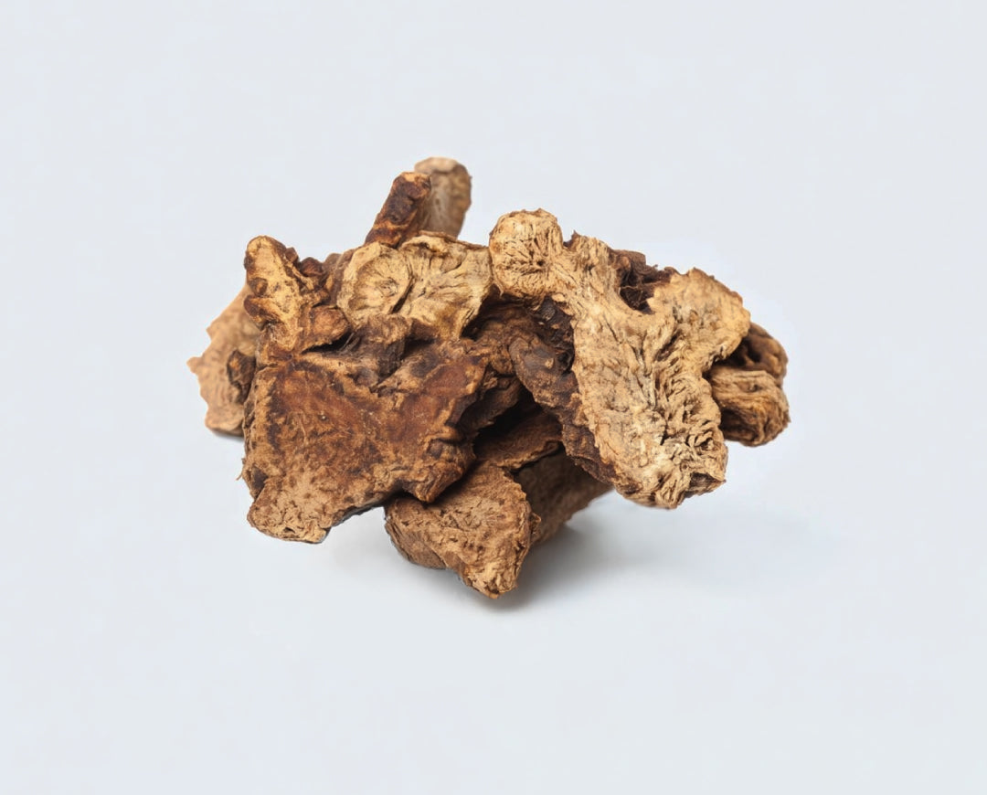 White Atractylodes Rhizome