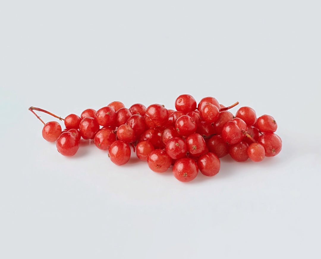 Schisandra Fruit