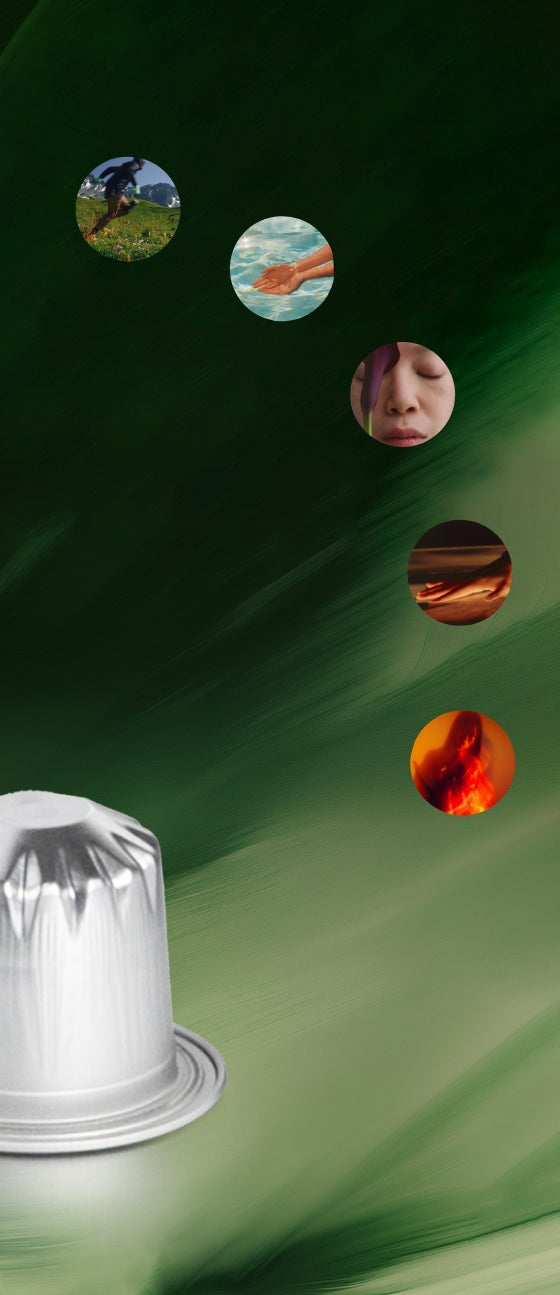HP_BANNER_1_Mobile.jpg