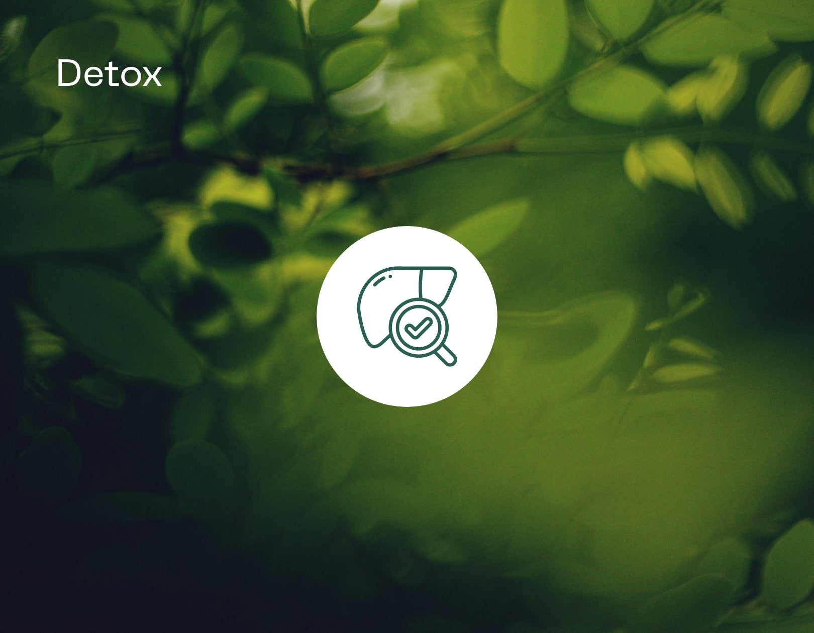 New_Detox_Banner.jpg