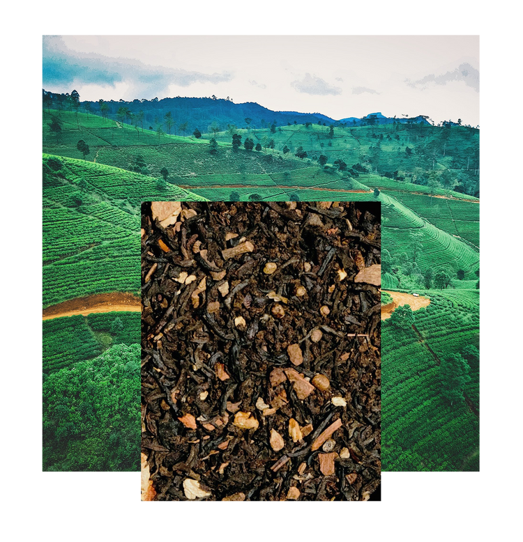 Tea leaves with a scenic background of green tea fields and mountains.