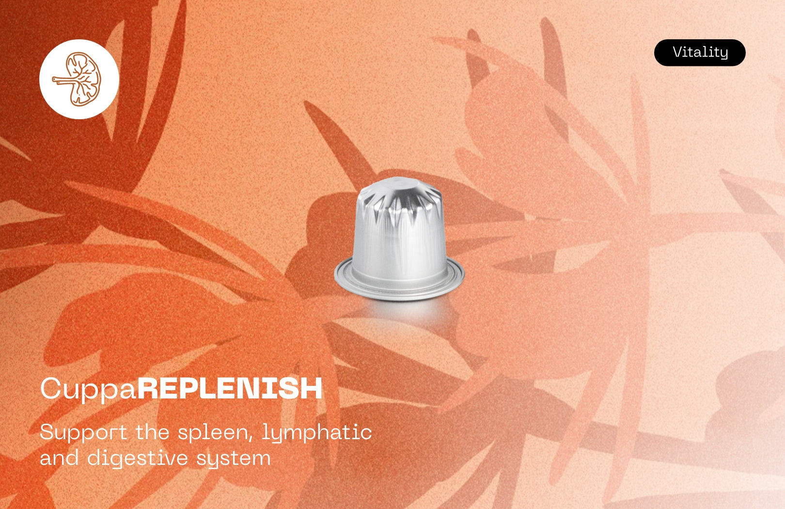 homepage-capsule-banne-REPLENISH.jpg