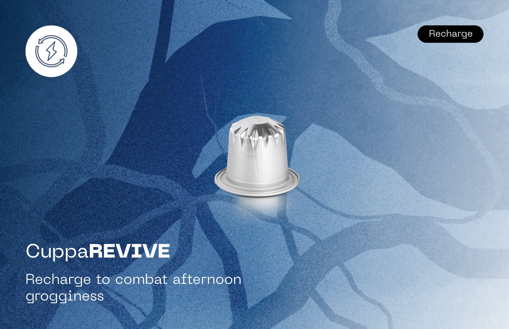 homepage-capsule-banne-REVIVE.jpg