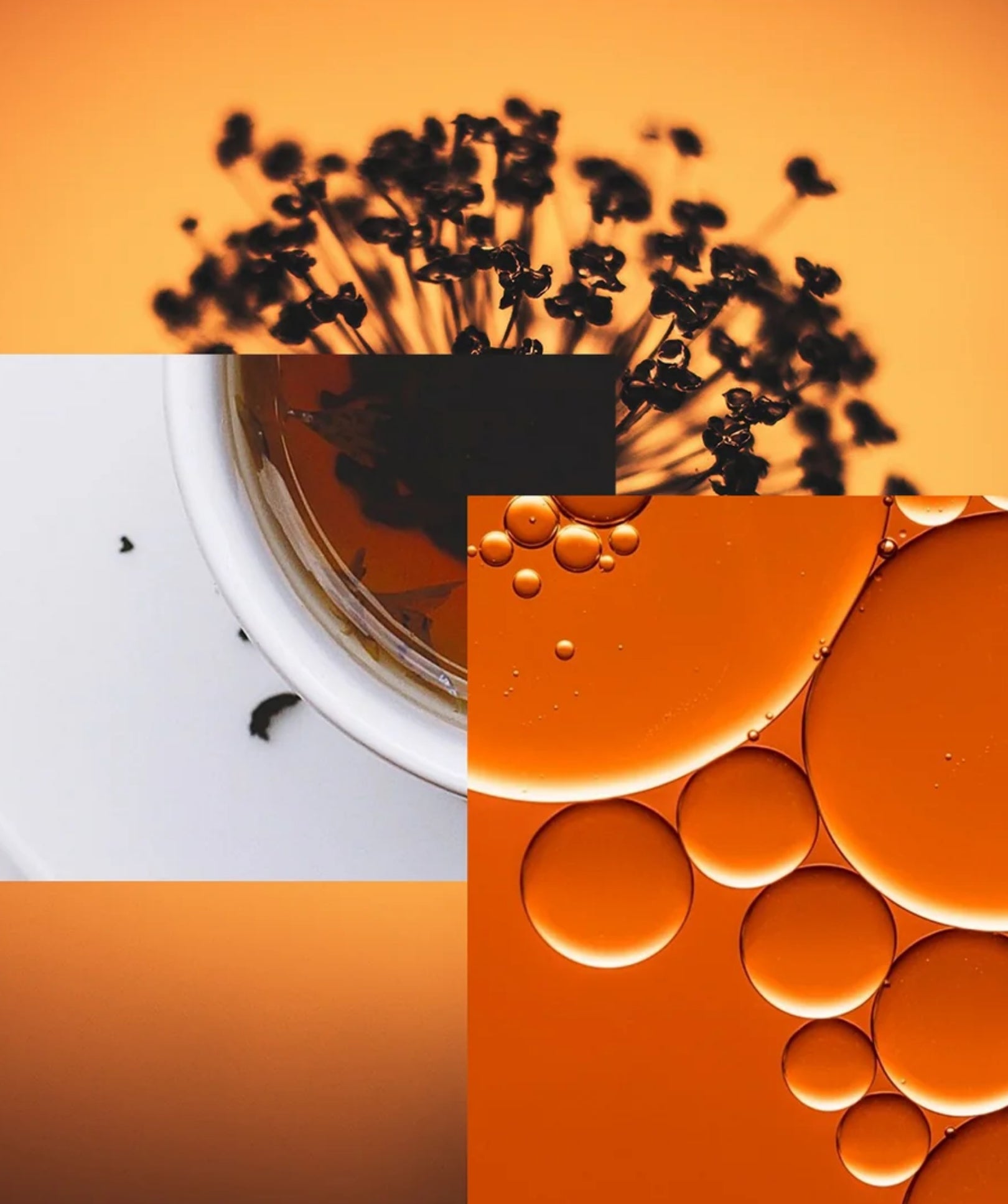 nanodecoct_collage.jpg